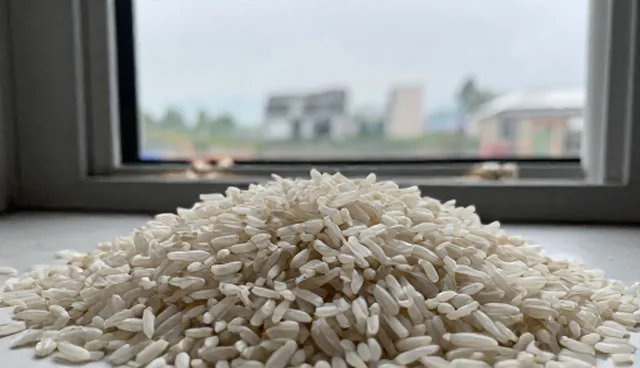 农资供应选型关注点:如何选择适合的生产流程